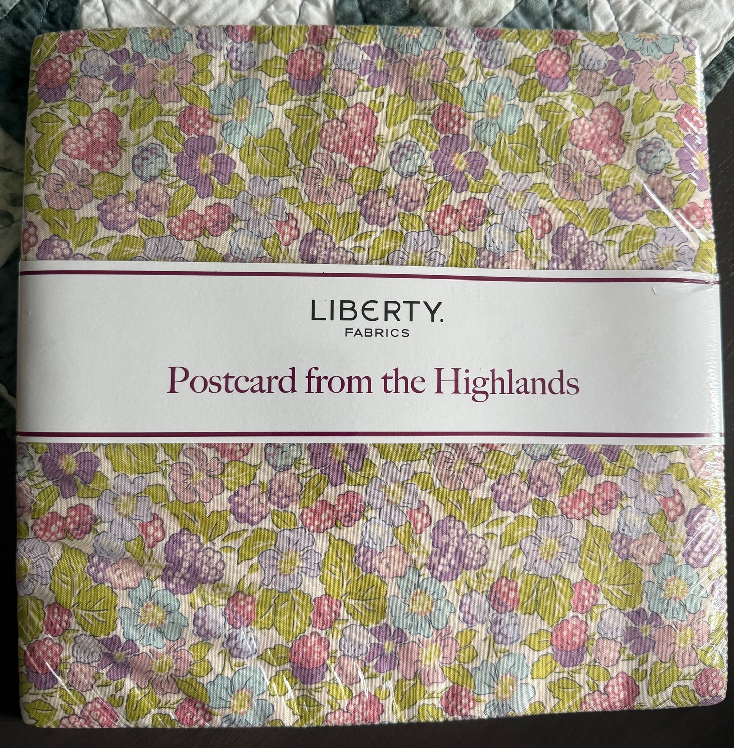 Postcard from the Highlands 10" Stacker 10-LPOSTHIGH-42 Liberty Fabrics