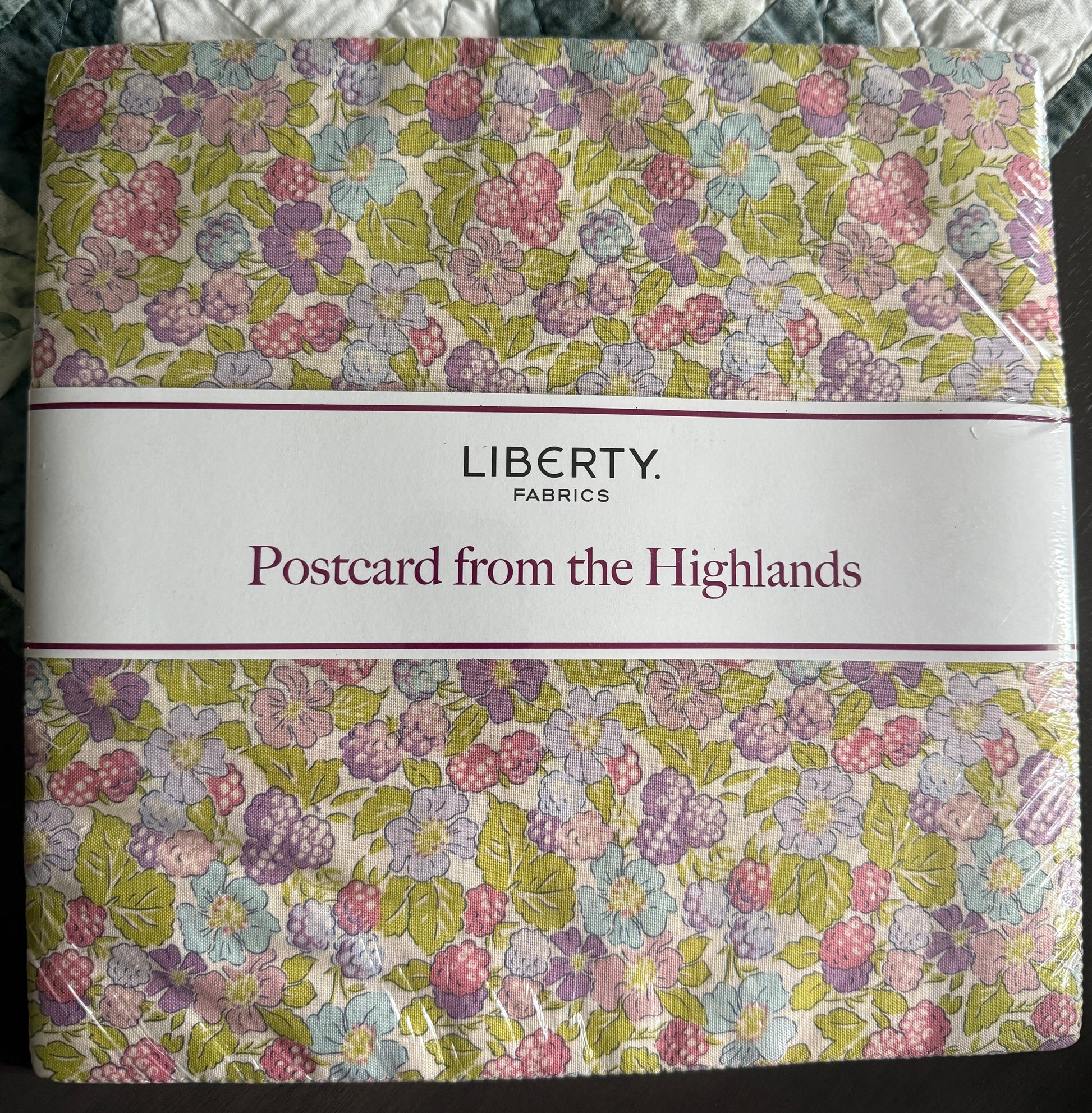 Postcard from the Highlands 10" Stacker 10-LPOSTHIGH-42 Liberty Fabrics