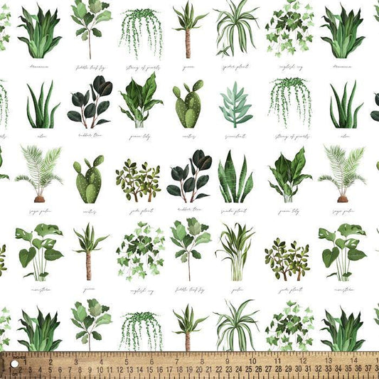 100% Cotton Plant Names by David Textiles DX-4445-40